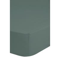 Spannleintuch Easy Care Olivgrün 180x220 cm Renforce - Olivgrün/Grün, Basics, Textil (180/220cm) - MID.YOU