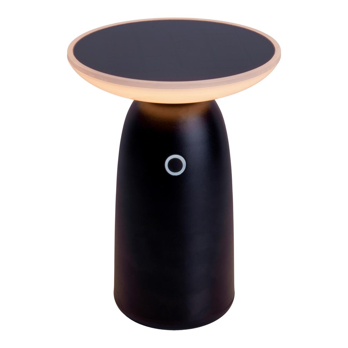 Solarleuchte 3191022 - Schwarz, Design, Kunststoff/Metall (16/22,5cm) - Näve