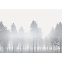 Fototapete Rsx8-055 Silver Haze - Silberfarben/Weiß, Trend (400/280cm)