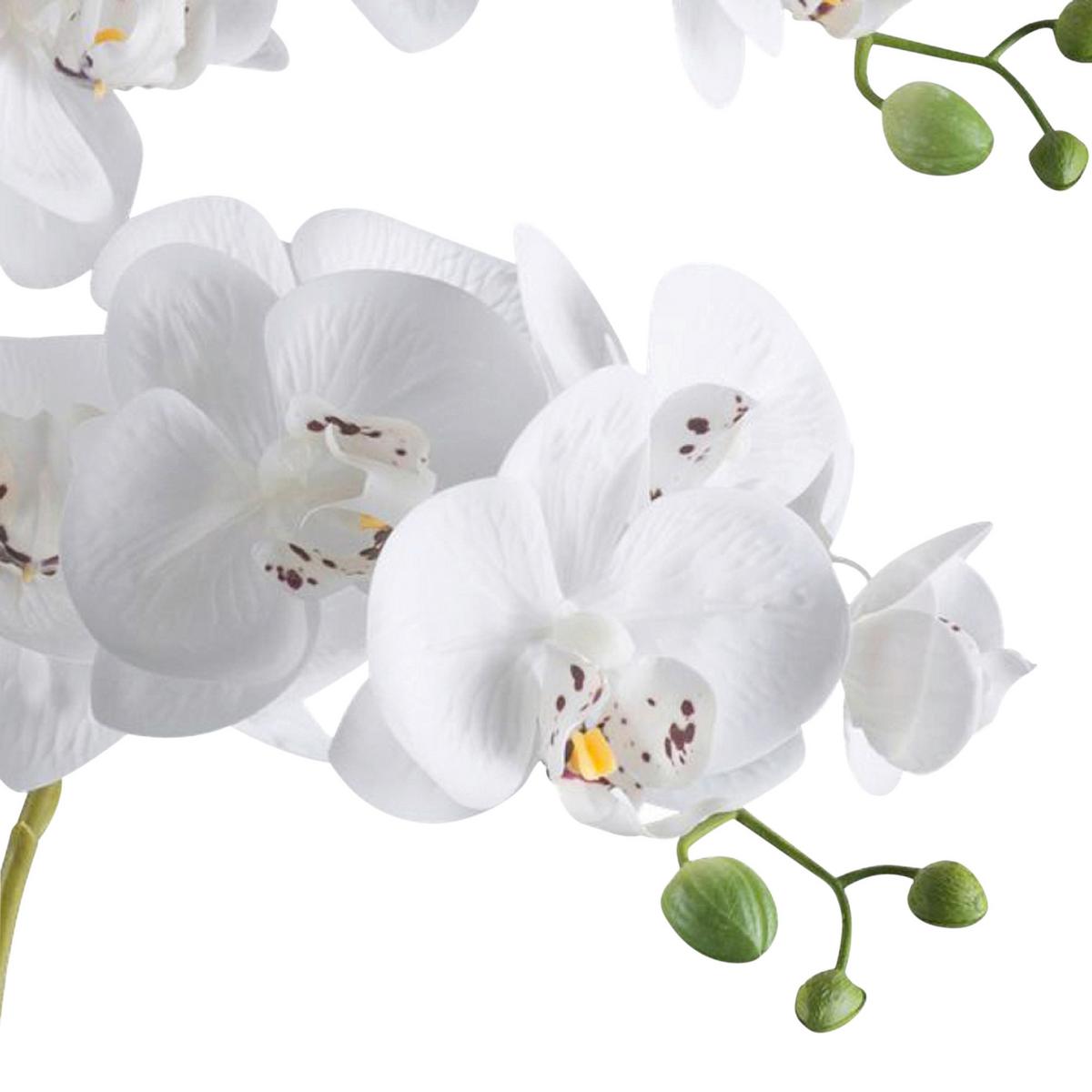 Kunstpflanze Orchideen Grün/weiß/schwarz, 70 Cm - Schwarz/Weiß, Design, Kunststoff (70cm) - P & B
