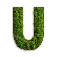 Moosbild Grün B: 26 cm - Schwarz/Grün, Basics, Naturmaterialien/Holz (26/19/4cm)