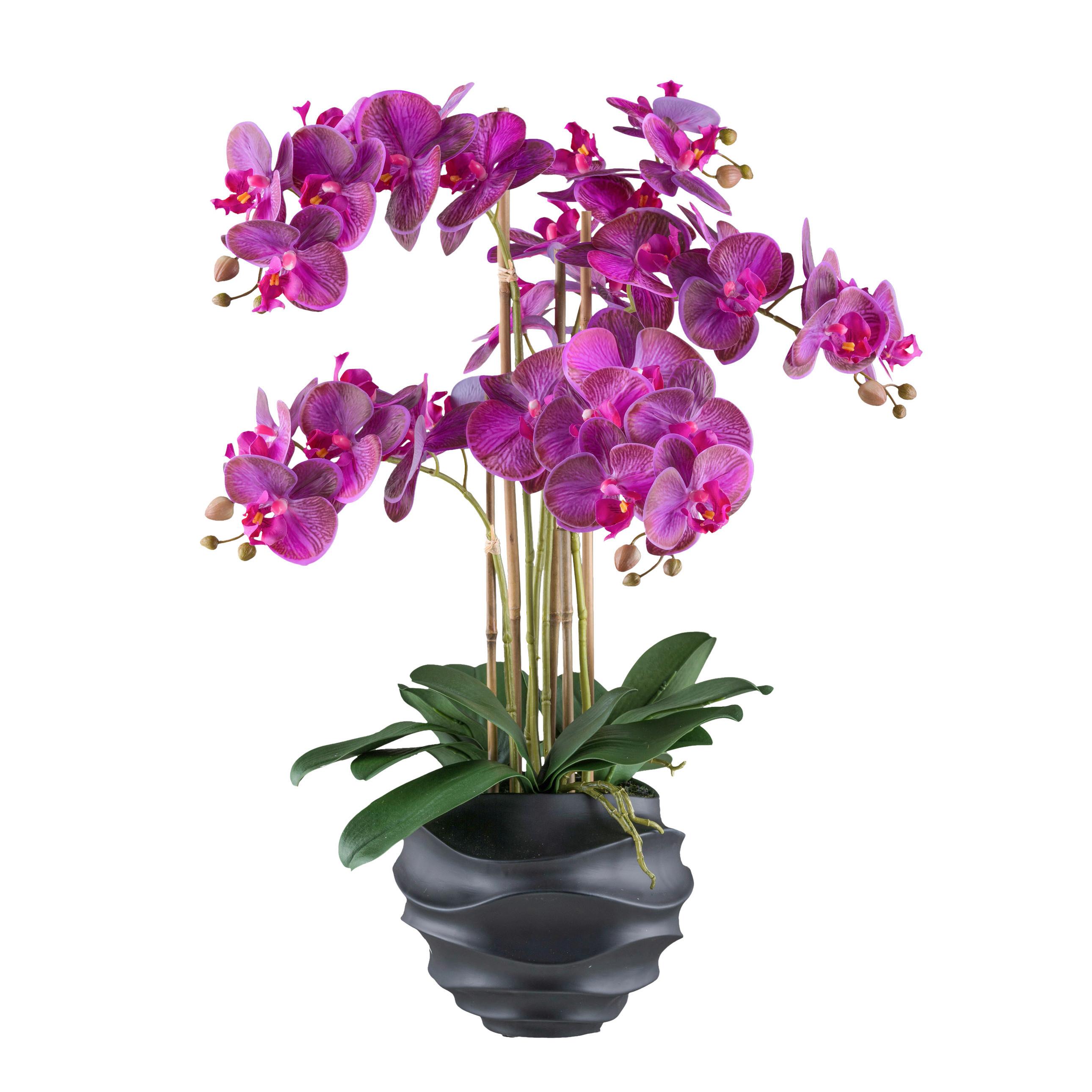 Kunstpflanze Orchideen 70 cm Grün/Lila/Schwarz/Pink - Pink/Lila, Design, Kunststoff (70cm) - P & B