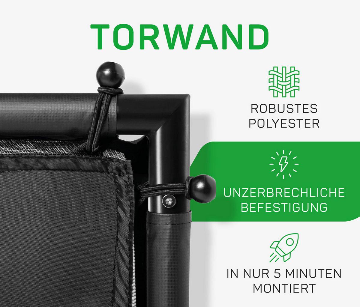 Fußballtor Salta Legend Mit Torwand - Schwarz, KONVENTIONELL, Kunststoff/Metall (180/120/60cm) - Salta