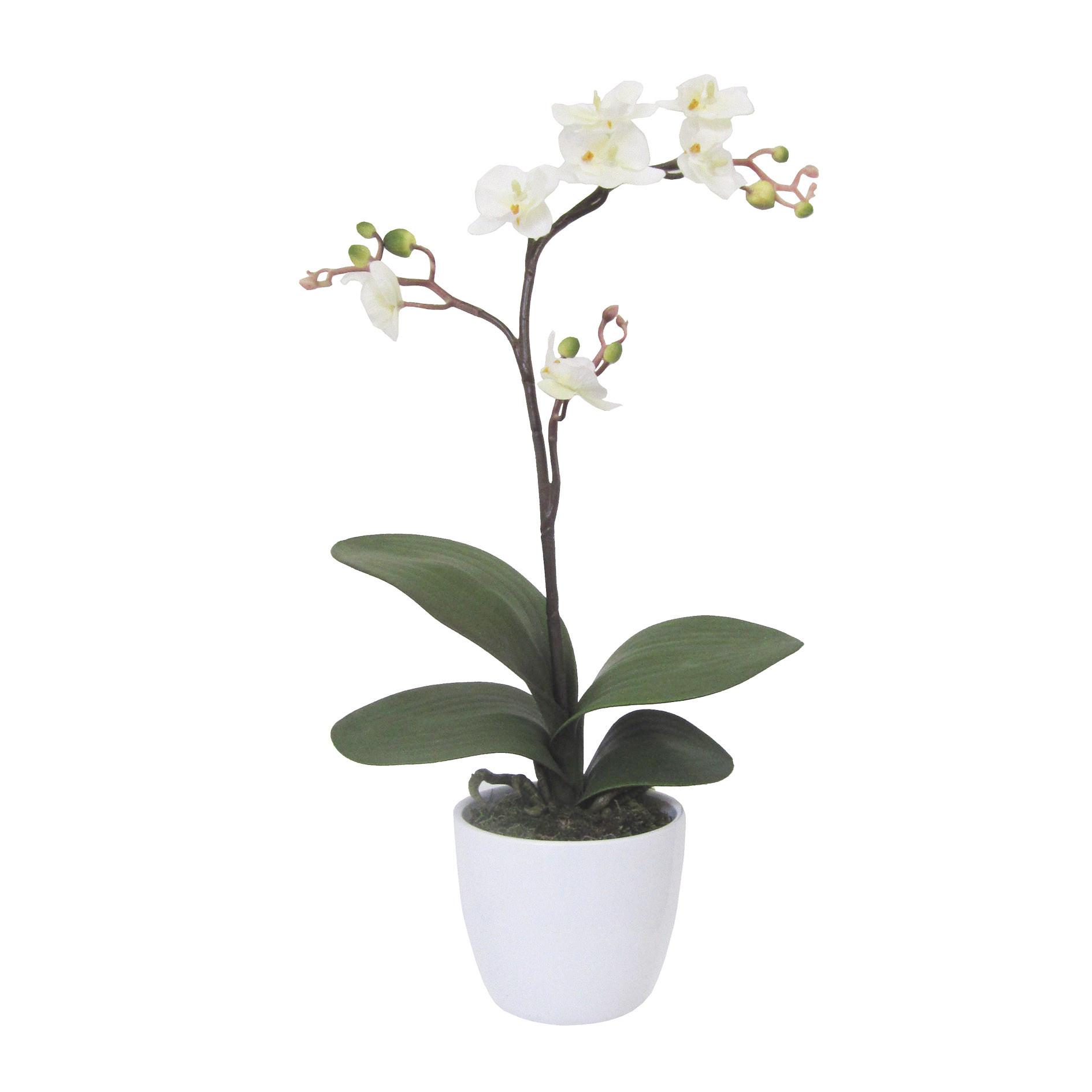 Kunstpflanze Orchideen Creme, Topf: Weiß: H: 55 cm - Creme/Weiß, Design, Keramik/Kunststoff (55cm) - P & B