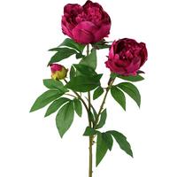 Umelá rastlina Pivonka, V: 70cm - zelená/červená, Basics, plast (70cm) - Modern Living