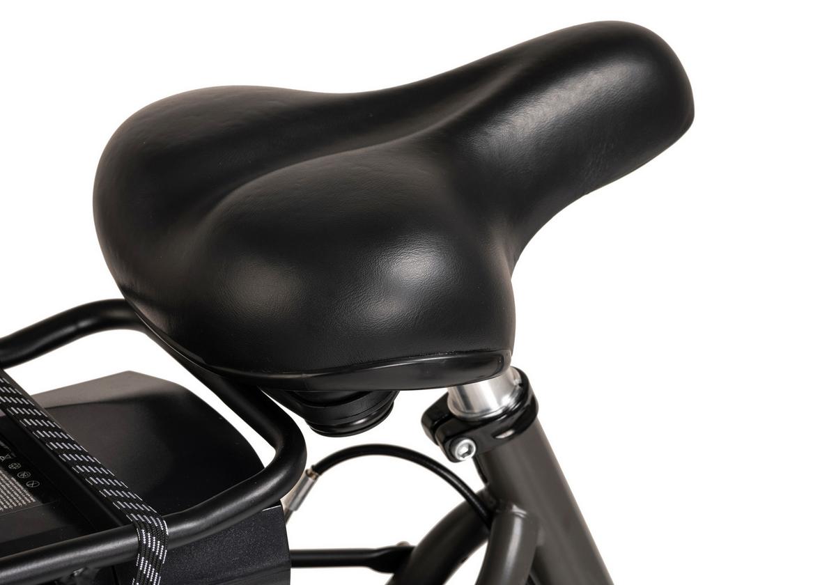 E-bike City Damen Hollandia Carry 28 Zoll 120km - Grau, Basics, Metall (180/70/100cm)