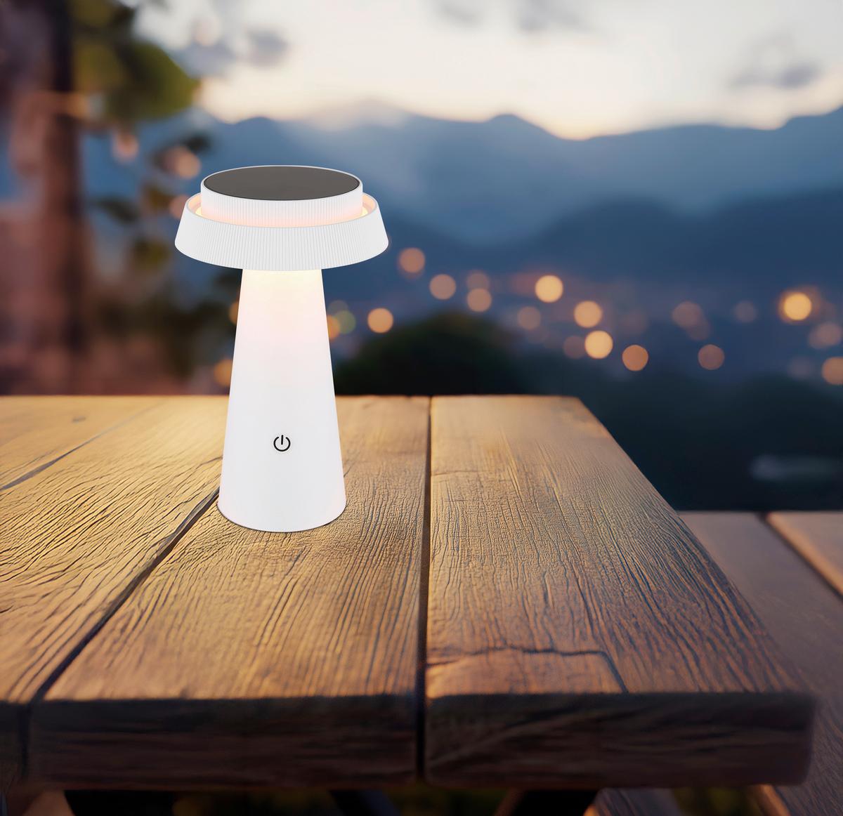 Solarleuchte Memory-Funktion - Schwarz/Weiß, Design, Kunststoff (14/23cm) - Globo