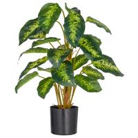Kunstpflanze Diffenbachia Kunststoff, Grün, H: 65 cm - Schwarz/Braun, Basics, Kunststoff (65cm) - P & B