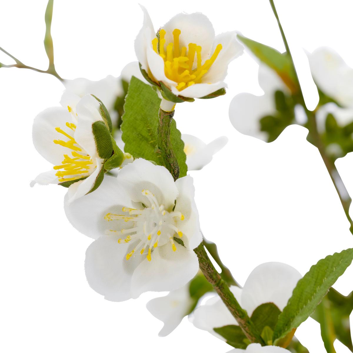 Rozkvitnutá vetvička čerešne Výška 105 cm - čierna/biela, Basics, kov/plast (105cm) - Mömax