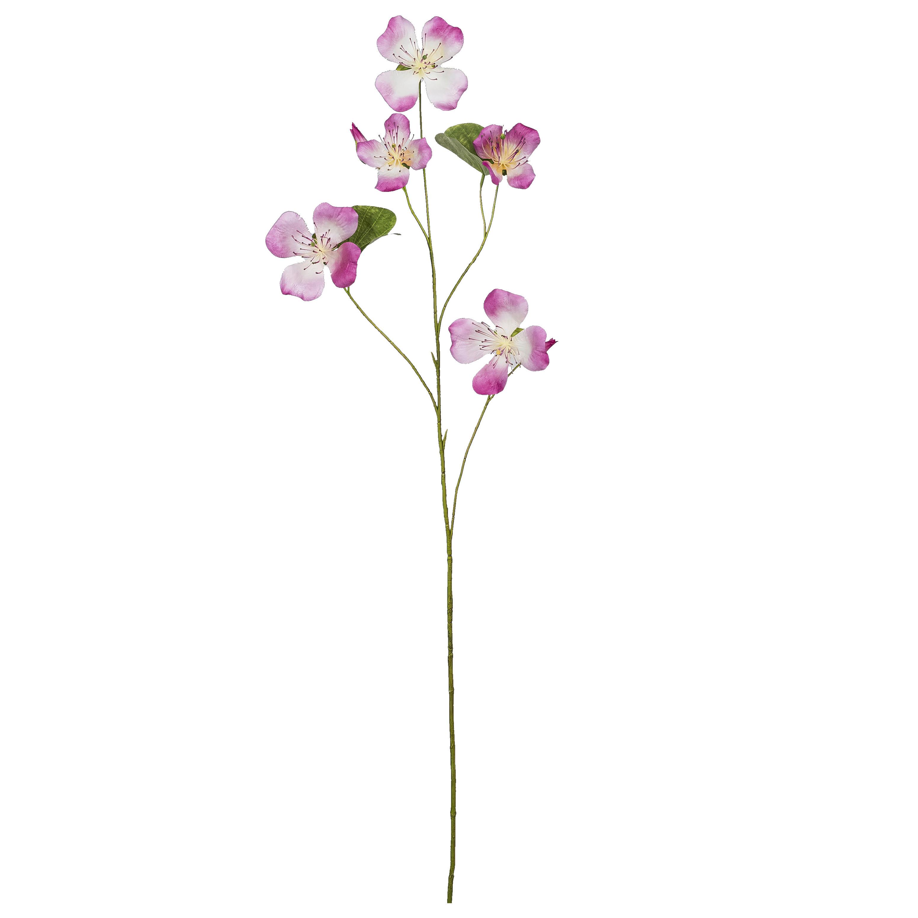 Dekozweig Bauhinia I Pink/Braun - hnedá/pink, Konventionell, plast (108cm) - Mömax
