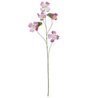 Dekozweig Bauhinia I Pink/Braun - hnedá/pink, Konventionell, plast (108cm) - Mömax