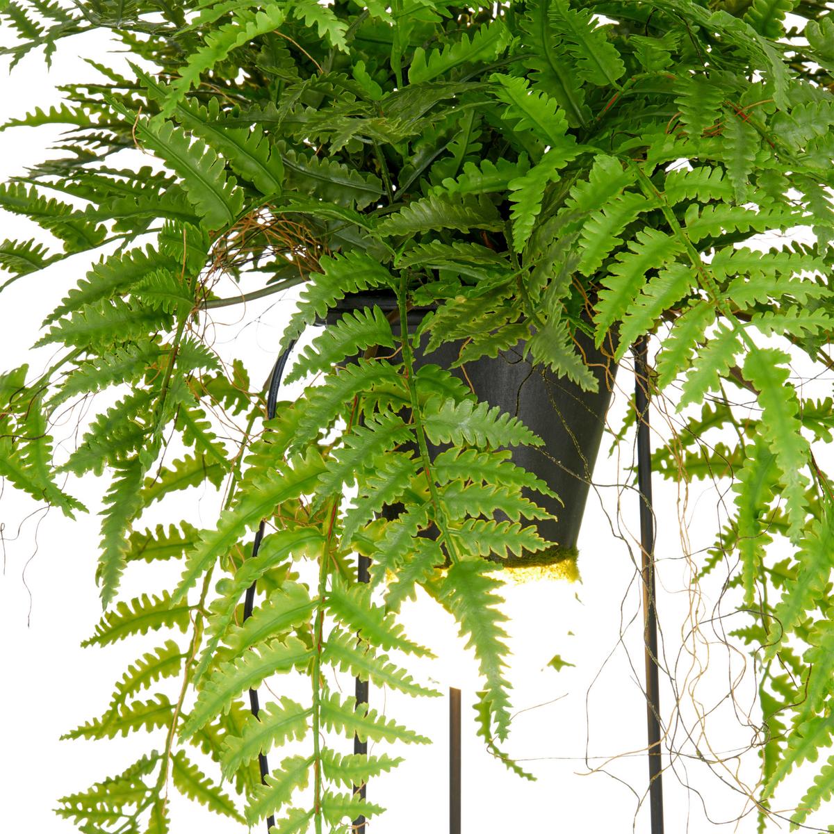 Kunstpflanze Farnmix, H: 60 cm Kunststoff, Grün/Schwarz, - Schwarz/Grün, Basics, Kunststoff/Metall (60cm) - P & B