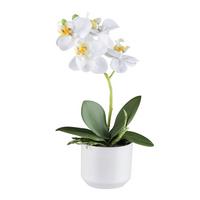 Kunstpflanze Orchideen Grün/Weiß, 27 cm - Weiß/Grün, Design, Keramik/Kunststoff (27cm) - P & B