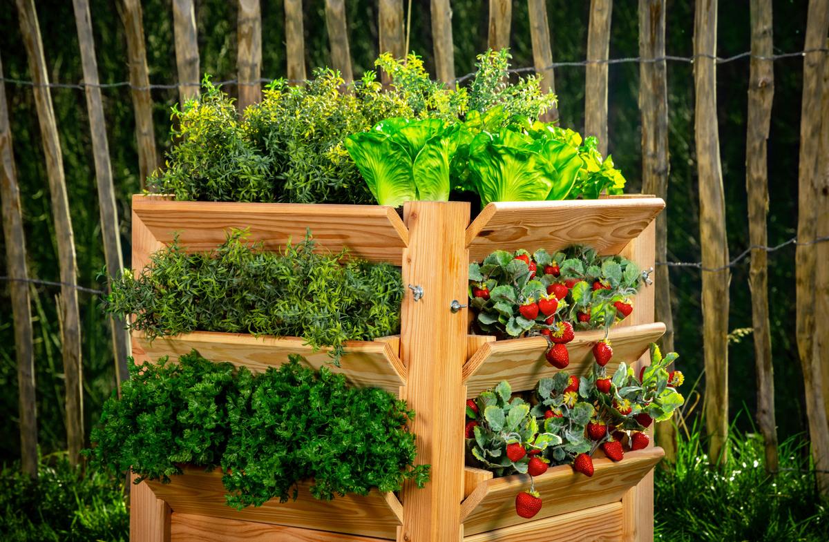 Hochbeet Echtholz Lärche 65x73x65 cm - Lärchefarben, Basics, Holz (65/73/65cm)