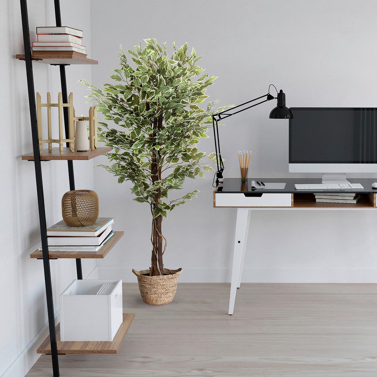 Kunstpflanze Ficus - Schwarz/Braun, Basics, Kunststoff (80/165/80cm) - MID.YOU