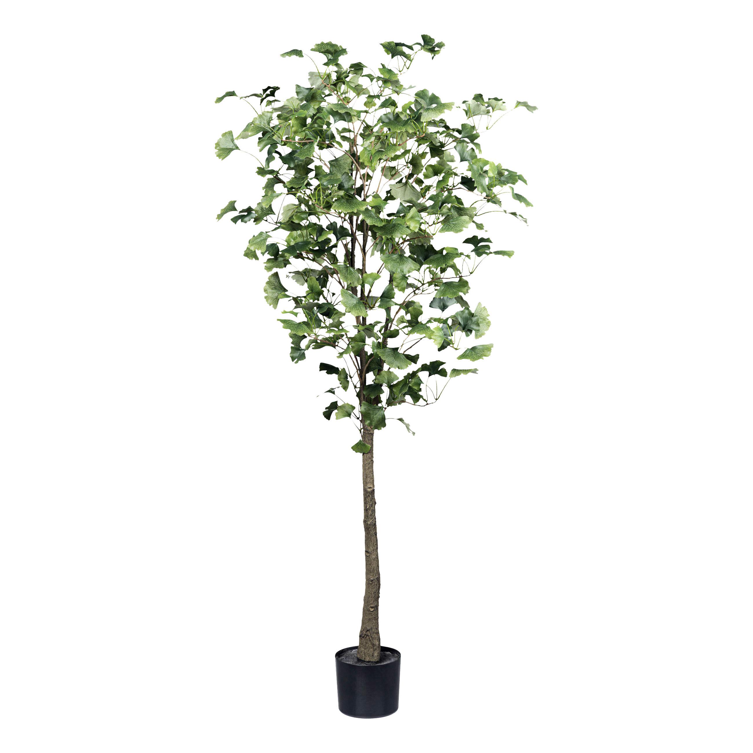 Kunstpflanze Gingkobaum H: 150 cm - Schwarz/Braun, Basics, Kunststoff (150cm) - P & B