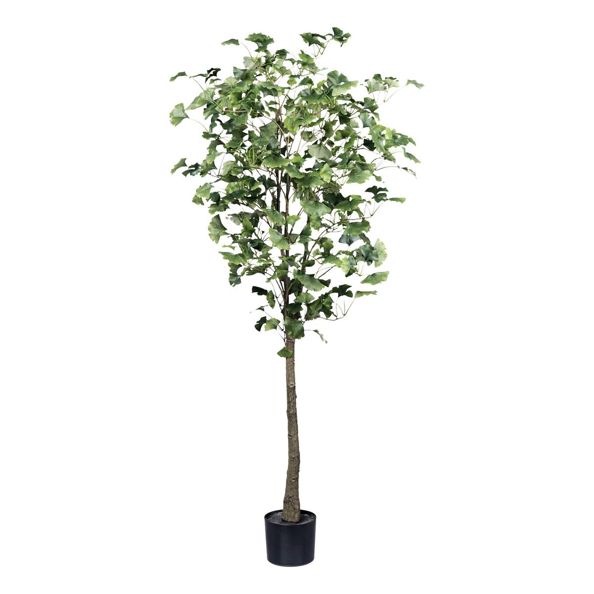 Kunstpflanze Gingkobaum H: 150 cm - Schwarz/Braun, Basics, Kunststoff (150cm) - P & B