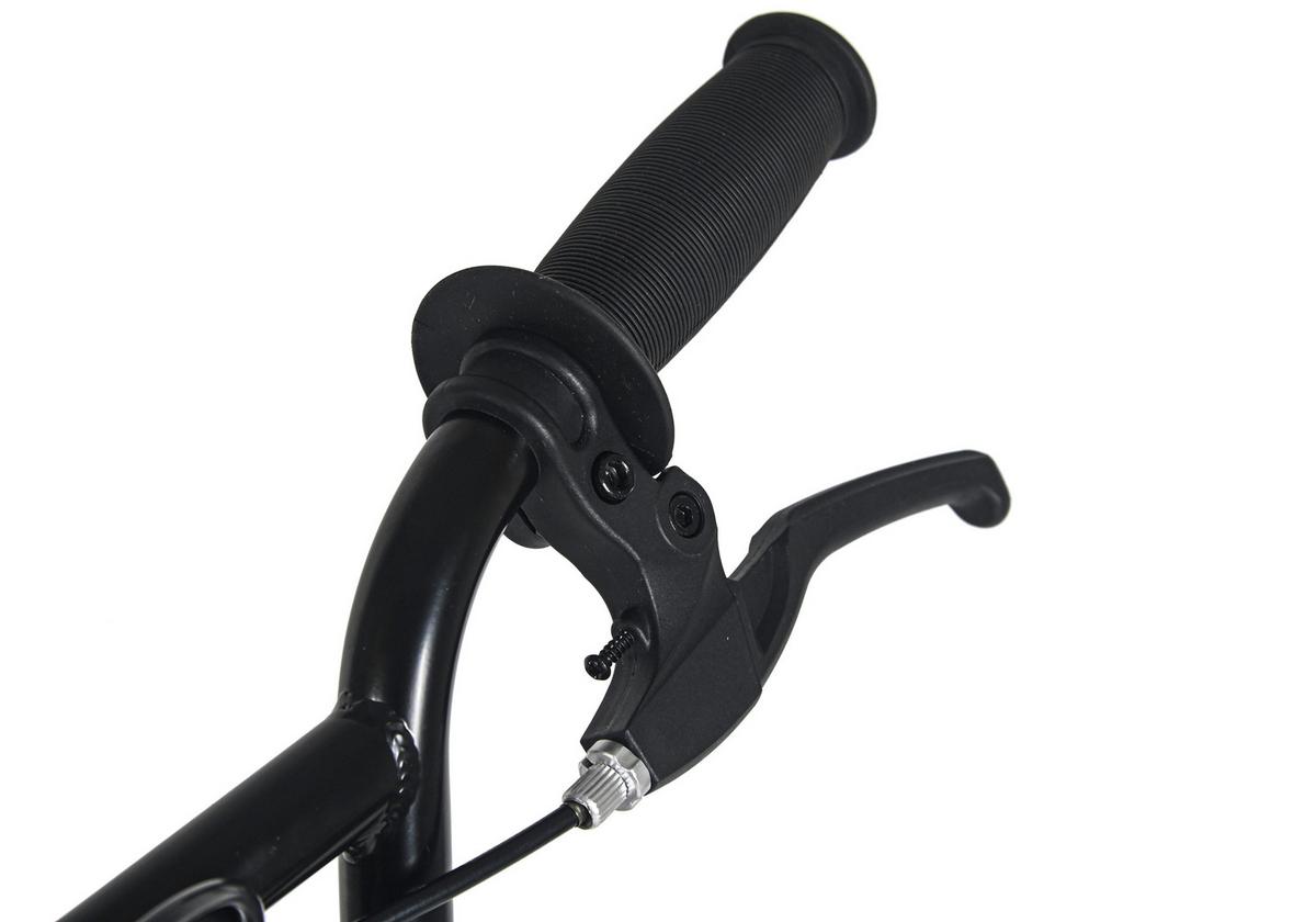 Wyld Bmx Freestyle 20" Blau - Blau, LIFESTYLE, Metall (25/120cm)