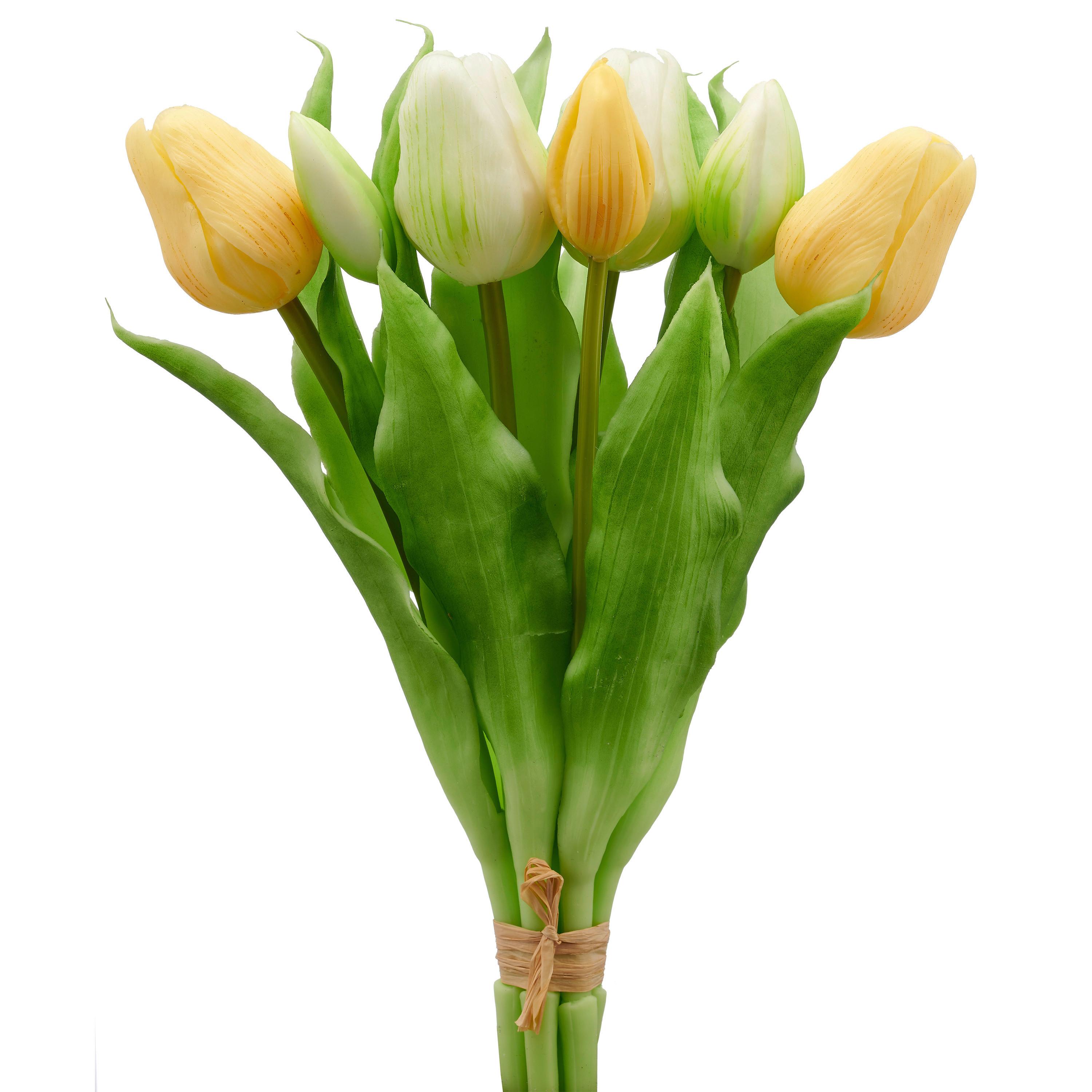 Tulipán TULPENBUND I - bílá/zelená, Basics, kov/plast (31cm) - Mömax