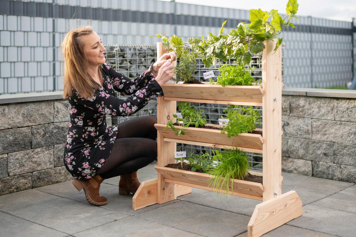 GARTENREGAL KRÄUTERREGAL L - Lärchefarben, Basics, Holz (80/95/50cm)