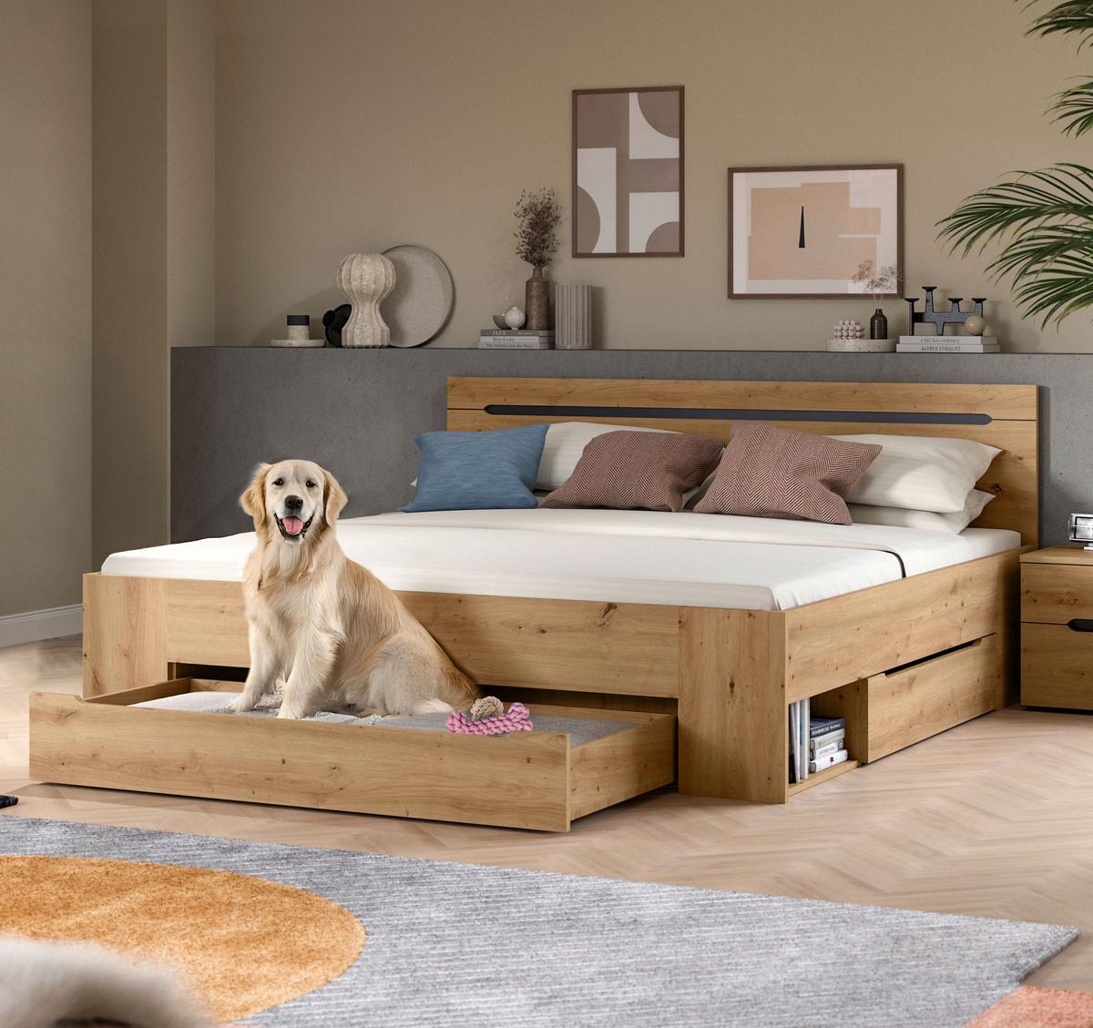 Bett Canu Grau /Eiche Artisan Dekor 180x200cm - Eiche Artisan/Grau, MODERN, Holzwerkstoff (180/200cm) - MID.YOU