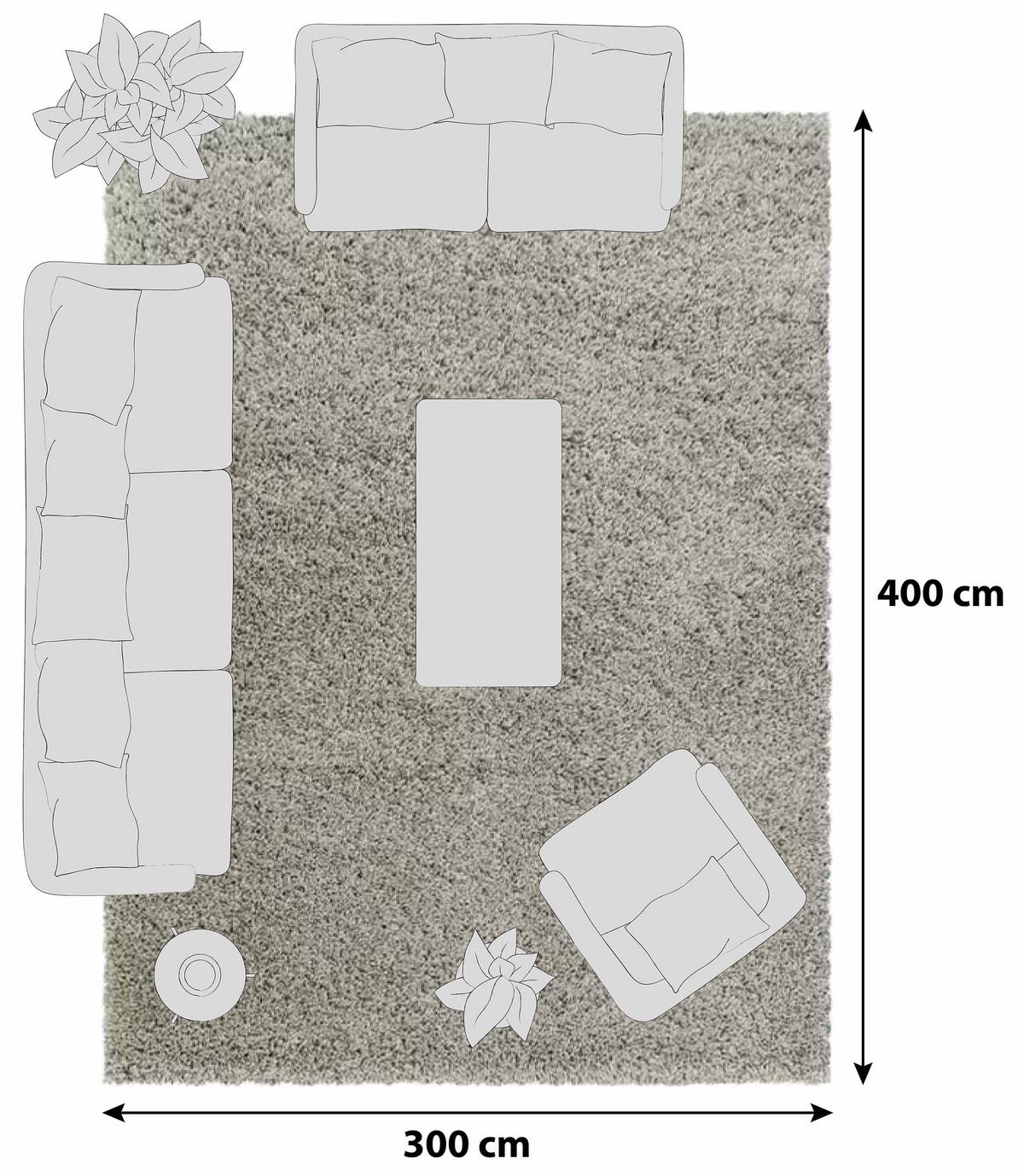 Hochflor Teppich Naturfarben Naturfaser Sydney 300x400 cm - Naturfarben, Basics, Textil (300/400cm)