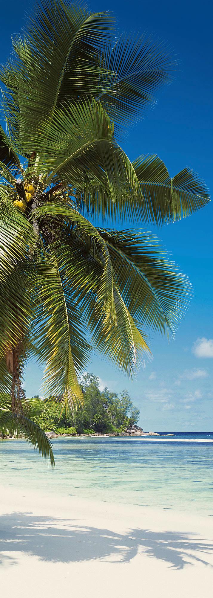 Vliestapete Coconut Bay - Multicolor, Basics (100/280cm) - Komar