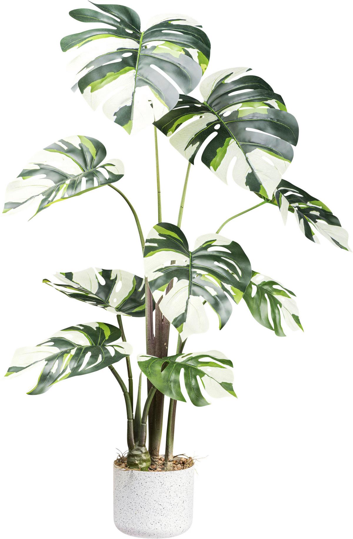Kunstpflanze H: 100 cm - Weiß/Grün, Design, Kunststoff (100cm) - P & B