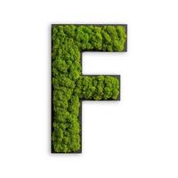 Moosbild Grün B: 25 Cm - Schwarz/Grün, Basics, Naturmaterialien/Holz (12-20/25/3,5cm)