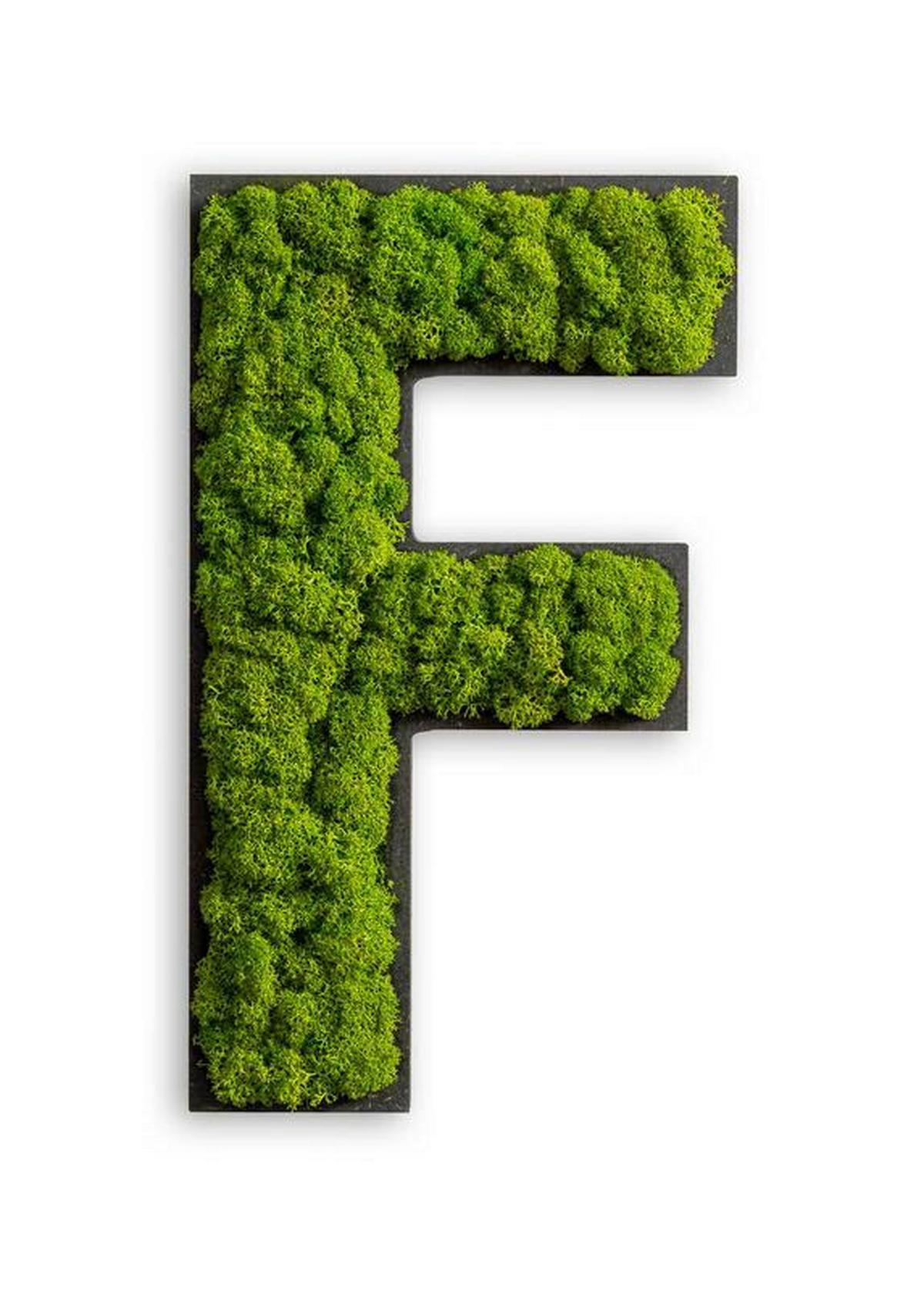 Moosbild Grün B: 25 Cm - Schwarz/Grün, Basics, Naturmaterialien/Holz (12-20/25/3,5cm)