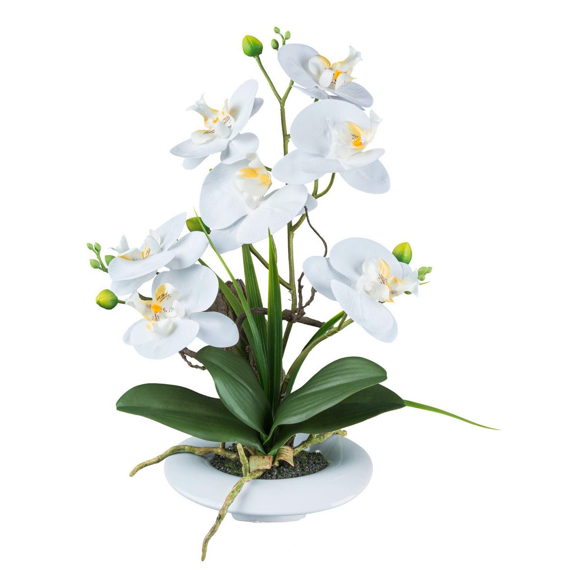 Kunstpflanze Orchidee Weiß/grün L: 50 Cm, Apikalia - Weiß/Braun, KONVENTIONELL, Kunststoff (41cm)