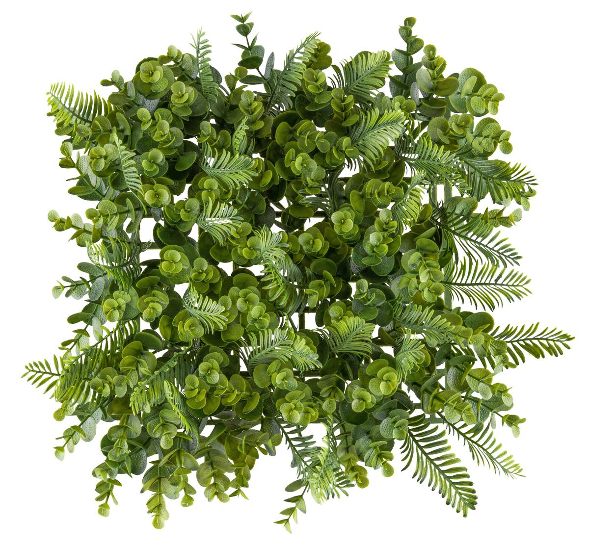 Umelá rastlina WANDMATTE, š/v: 25x25cm - zelená, Konventionell, plast (25/25cm) - Mömax