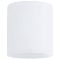 Schienensystem Urail Leuchtenschirm 60004 Weiß - Weiß, Design, Glas (7/8cm) - Paulmann