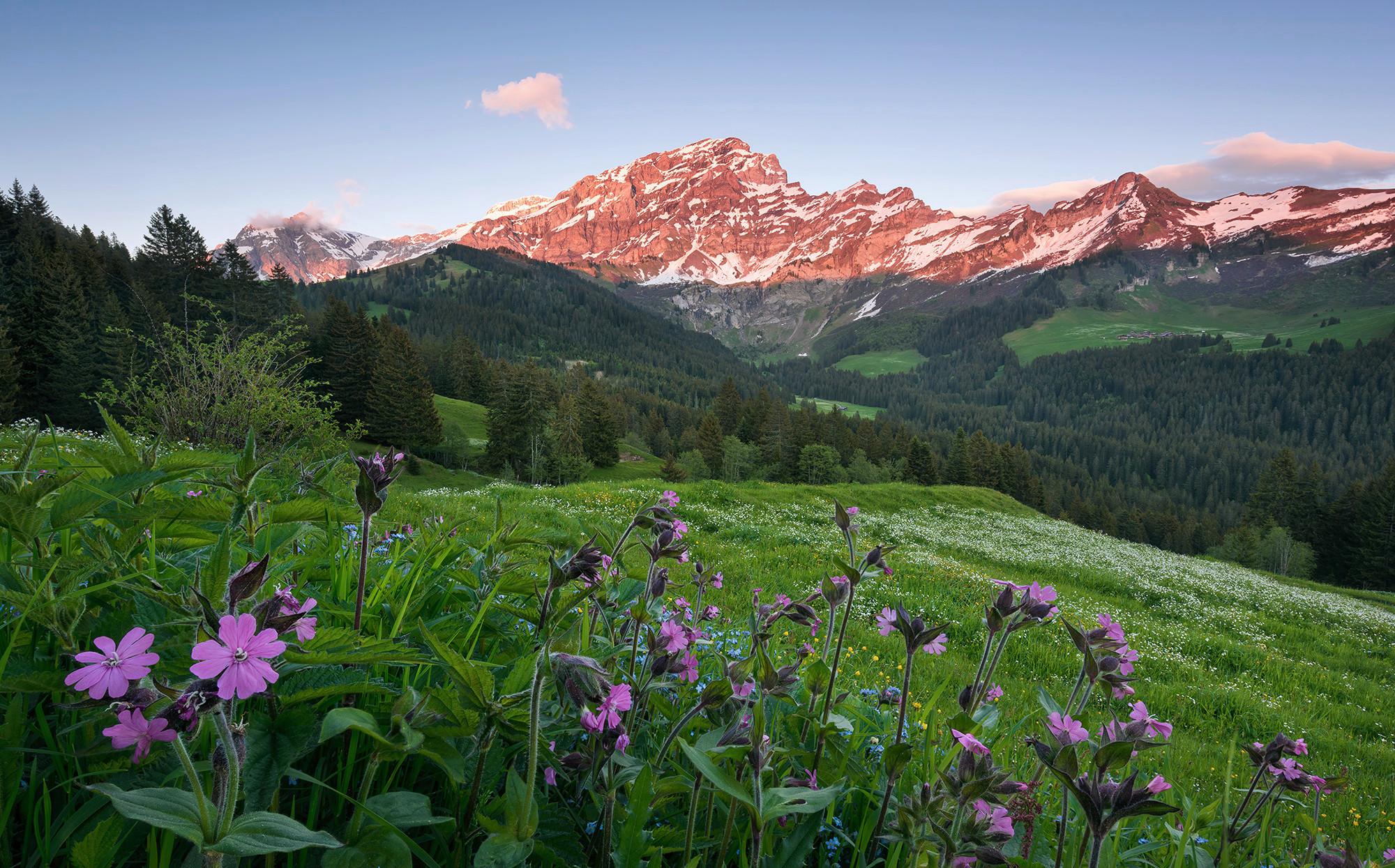 Fototapete Picturesque Switzerland - Multicolor, Trend, Textil (450/280cm)
