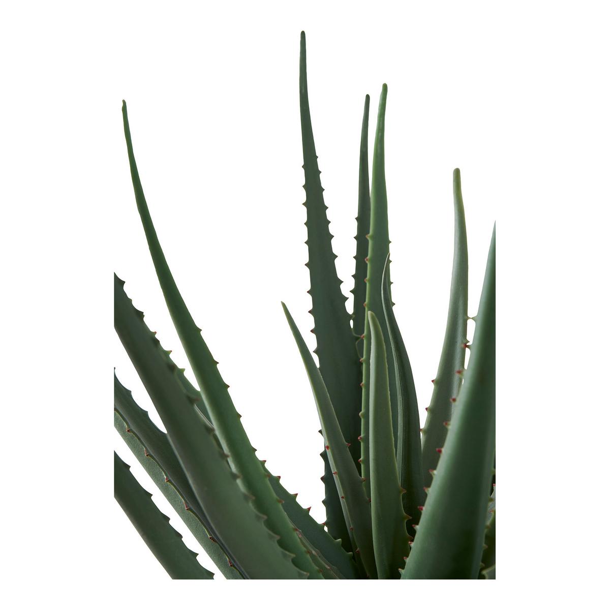 Kunstpflanze Aloe Vera Grün B: 30,5 cm - Grün, Design (30.5/51/30.5cm)