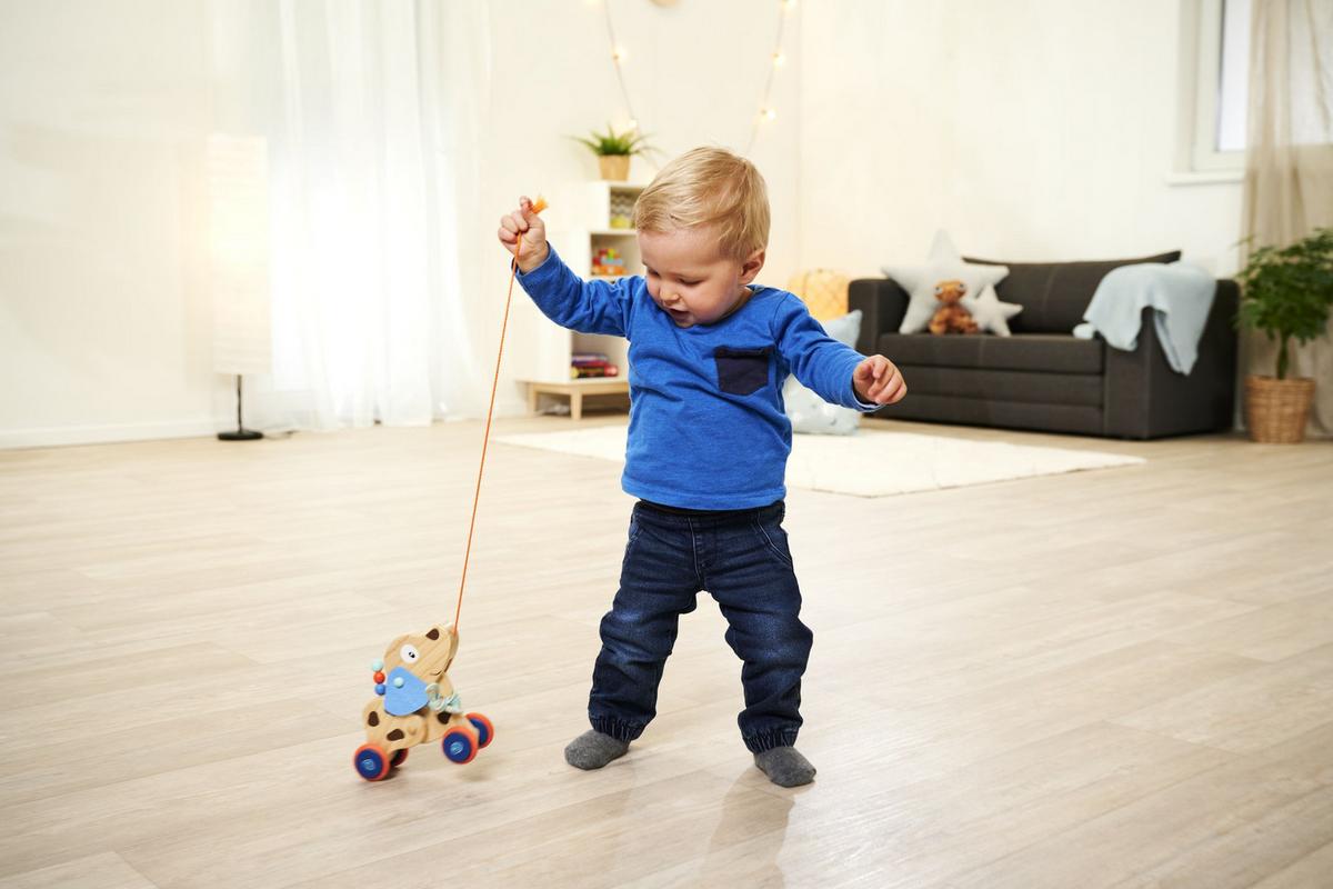 Nachziehtier Hund geräuschlos - Multicolor, Basics, Holz/Kunststoff (9/17,5/17cm) - Simba