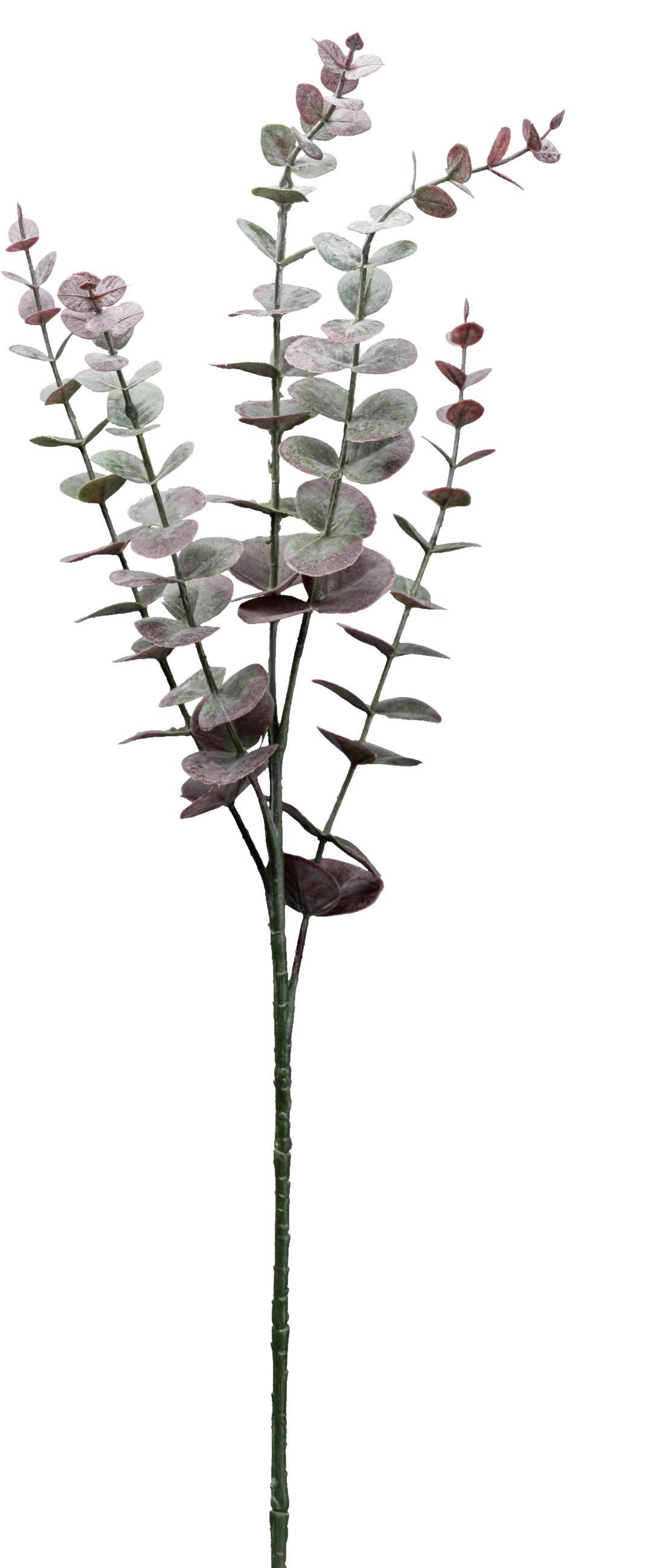 Kunstpflanze Eukalyptuszweig Lila L: 73 cm, Mira - Lila/Grau, Natur, Kunststoff (73cm)