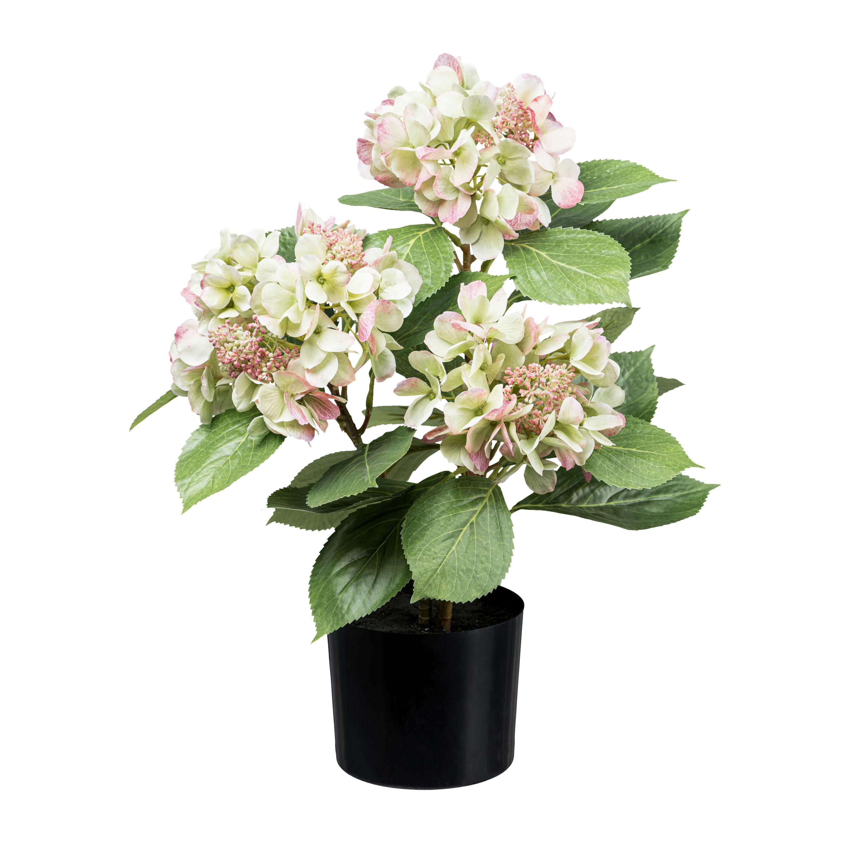 Kunstpflanze Blühpflanzen Grün/Rosa/Schwarz, 53 cm - Schwarz/Rosa, Design, Kunststoff (53cm) - P & B
