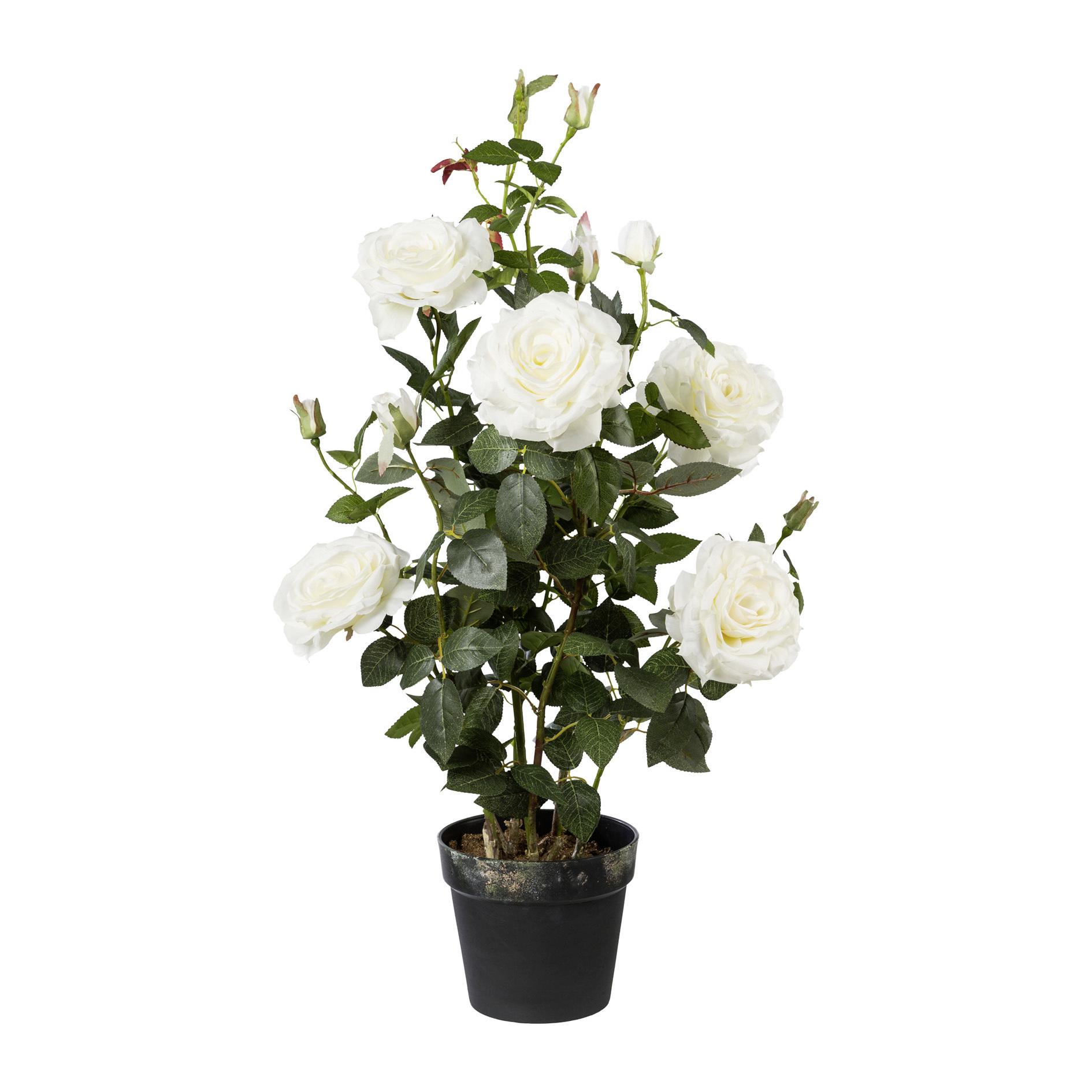 Kunstblumen Rosenbusch aus Kunststoff in Weiß im Topf