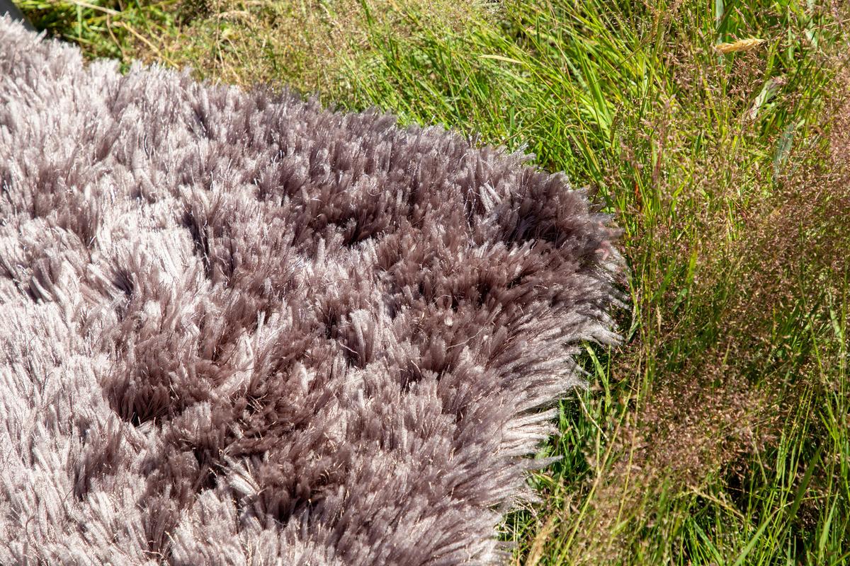 Hochflorteppich Braun Grace 200x300 cm - Braun, LIFESTYLE, Textil (200/300cm) - P & B