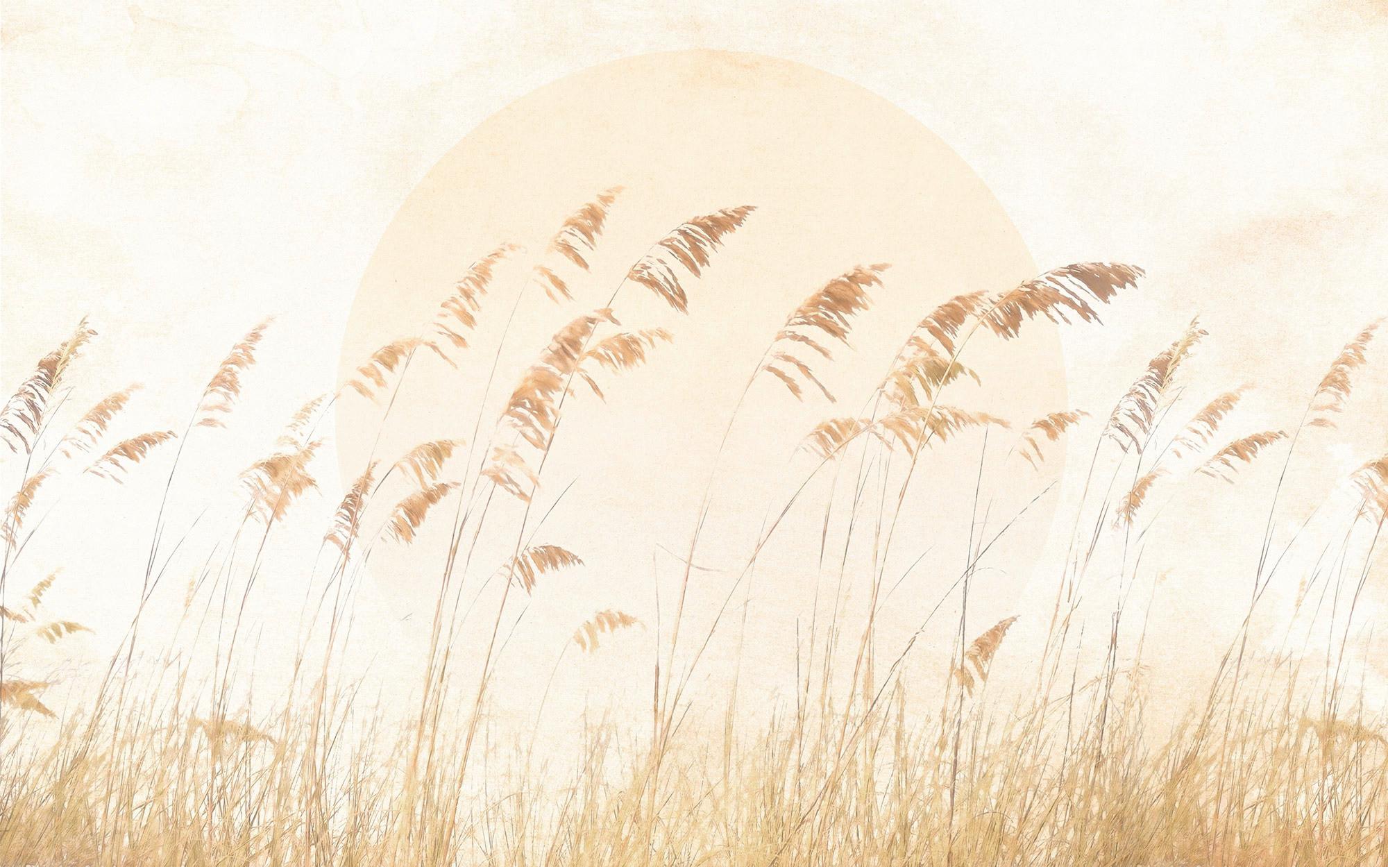 Vliestapete Dune Grass - Gelb/Braun, Basics (400/250cm) - Komar