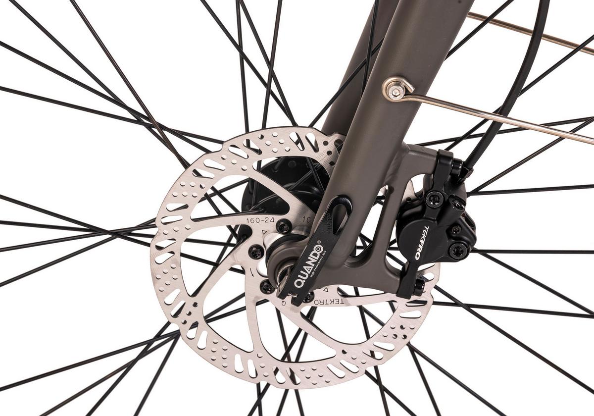 E-bike City Herren 149e 28 Zoll, 80 Km, 65nm - Grau, Basics, Metall (180/70/100cm)