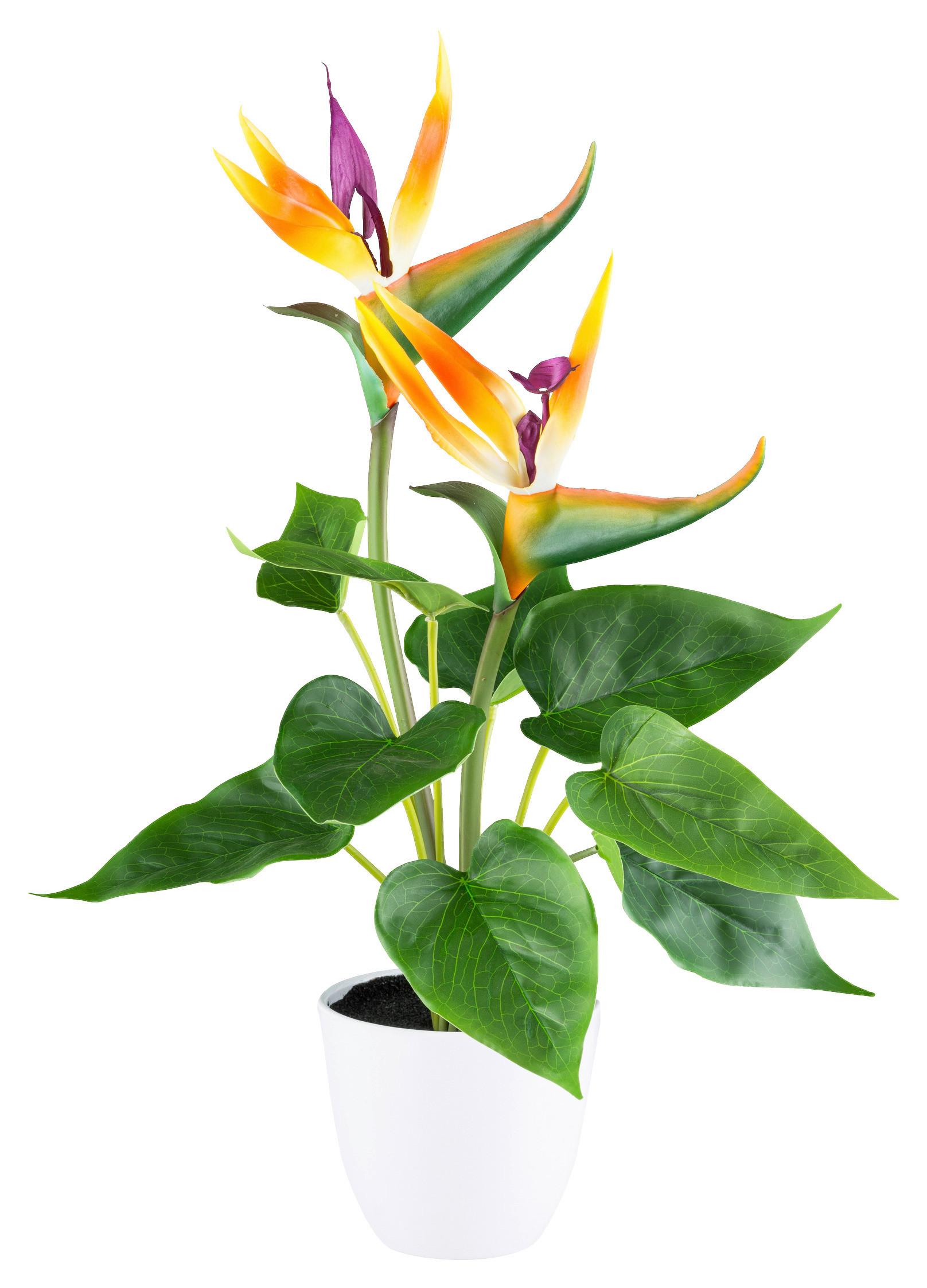 Kunstpflanze Strelitzie, Lila, Orange, inkl. Topf, H: 42 cm - Lila/Weiß, Design, Kunststoff (42cm)