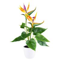 Kunstpflanze Strelitzie, Lila, Orange, inkl. Topf, H: 42 cm - Lila/Weiß, Design, Kunststoff (42cm)