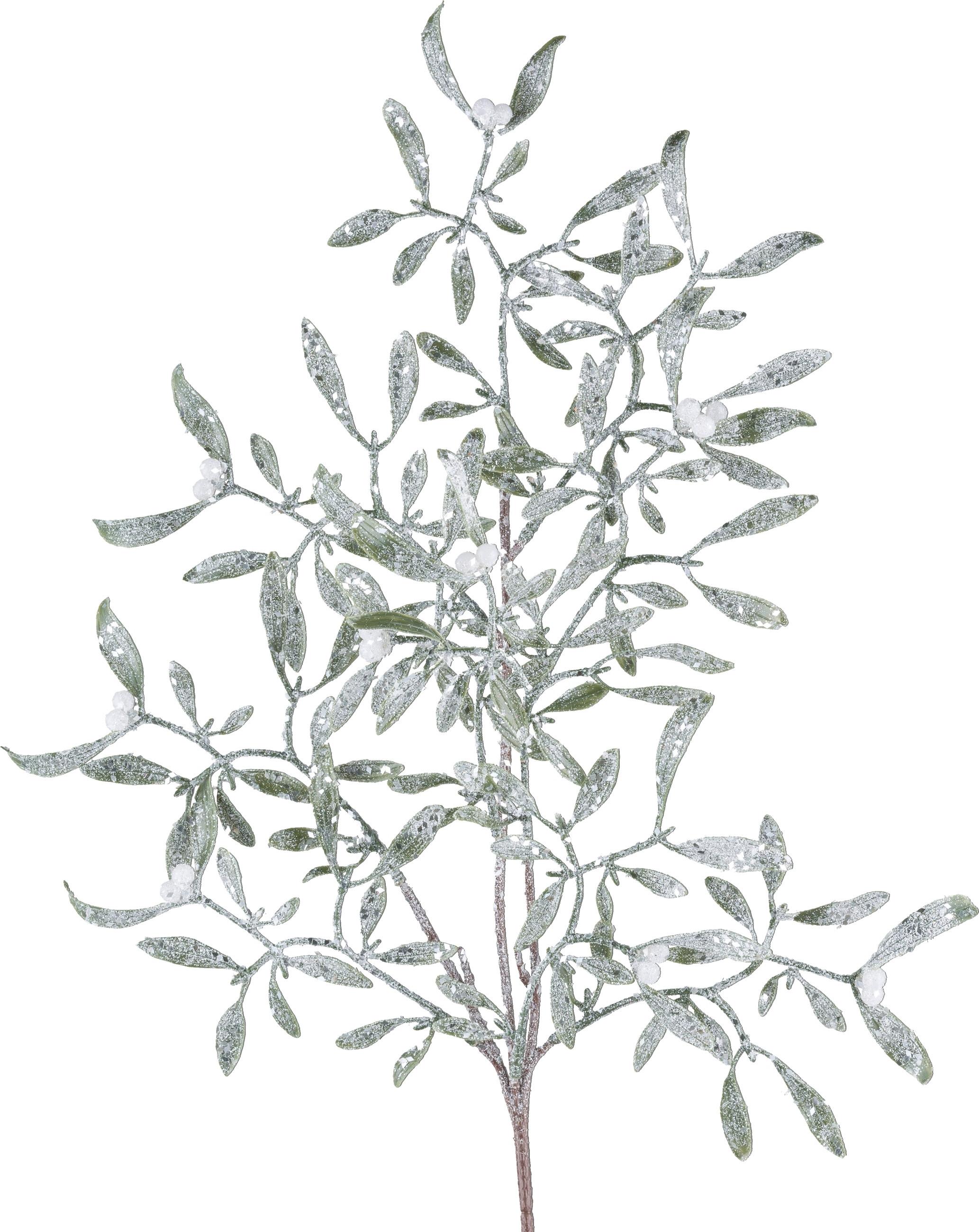 Umelá rastlina MISTELZWEIG I -PAZ- - zelená/svetlozelená, Basics, plast (55cm) - Mömax