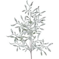 Umelá rastlina MISTELZWEIG I -PAZ- - zelená/svetlozelená, Basics, plast (55cm) - Mömax