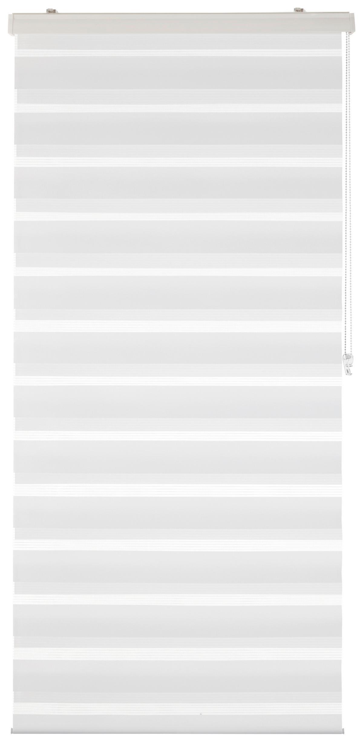 DUÁLNÍ ROLETA Thomas, 80x160cm, bílá - bílá, textil/plast (80/160cm) - Premium Living