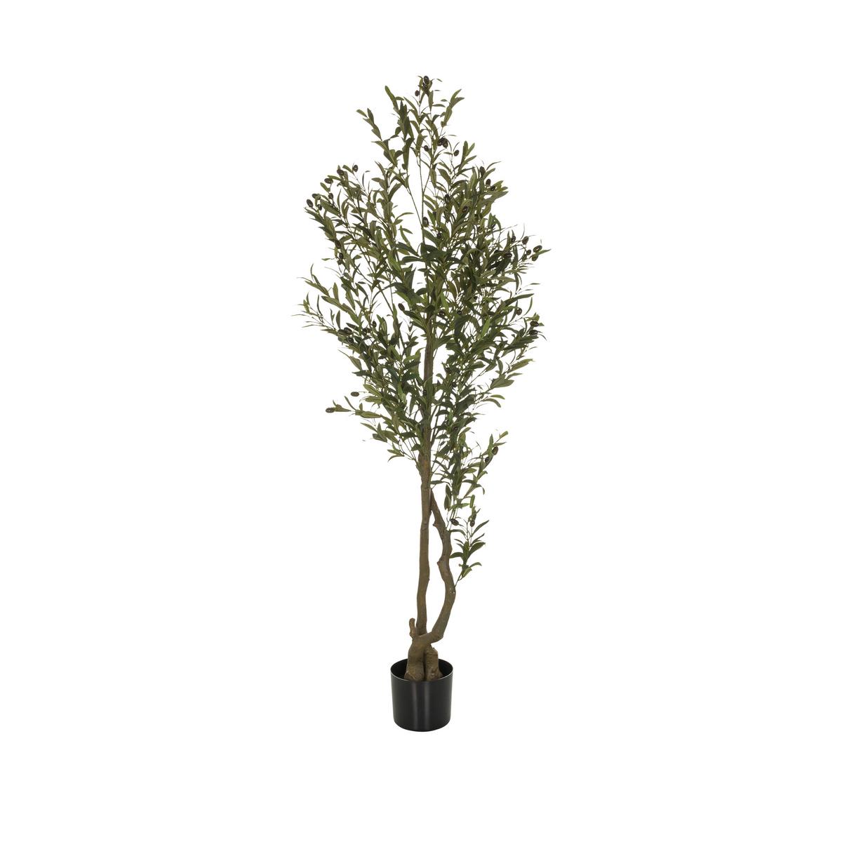 Kunstpflanze Olive I - Schwarz/Braun, Basics, Kunststoff (50/172/50cm) - MID.YOU