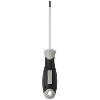 Schraubendreher Schraubendreher T20 4,0x100mm - Schwarz/Grau, Basics, Kunststoff/Metall (10cm) - Homezone