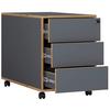 Container Salia Anthrazit, Honig B: 42 cm - Honigeiche/Anthrazit, Design, Holzwerkstoff/Kunststoff (42/50/45cm) - MID.YOU